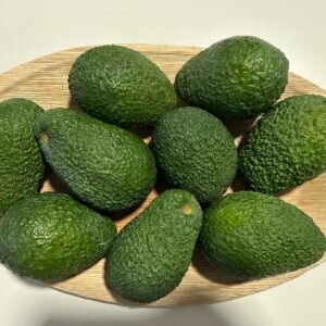 whatsapp image 2026 01 05 at 18.41.21