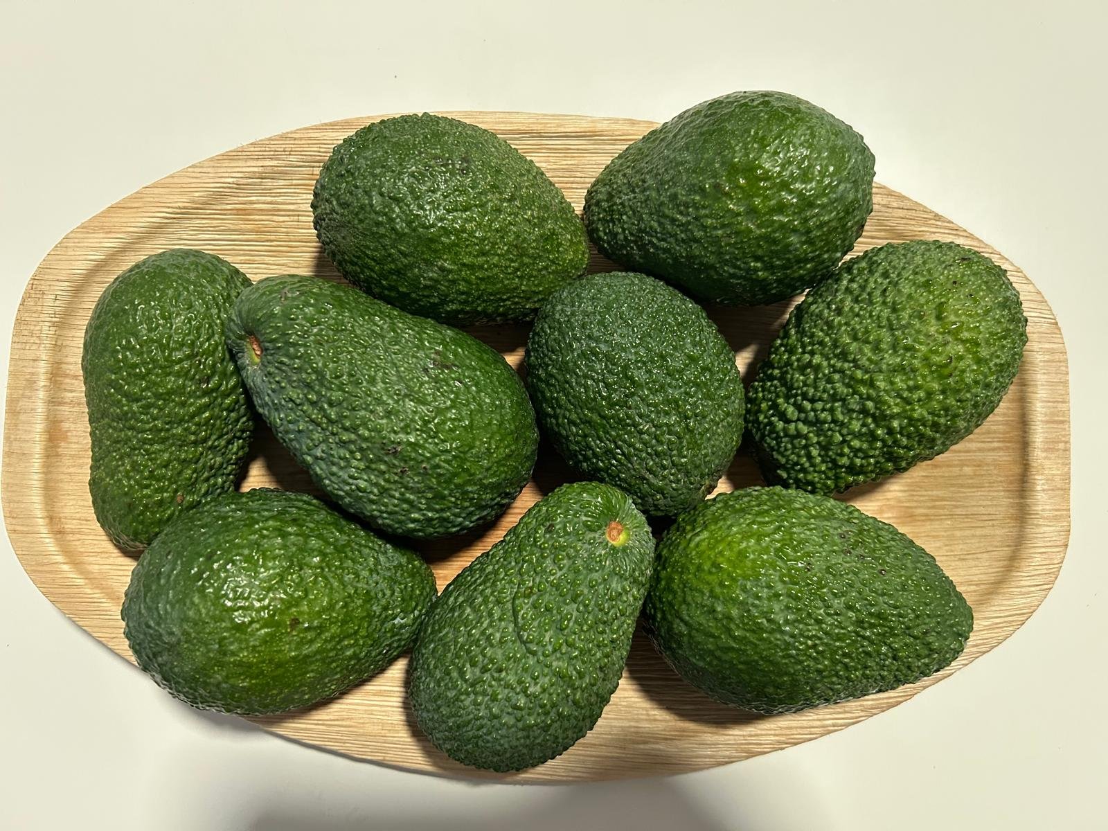 whatsapp image 2026 01 05 at 18.41.21